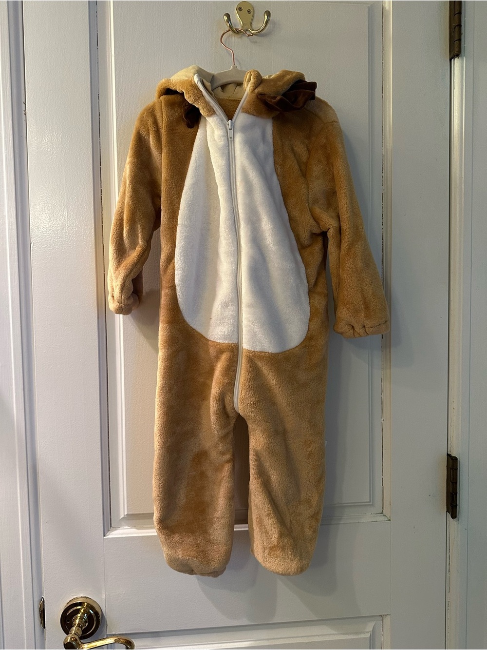 Kids Halloween Costume: 2 years old Lion